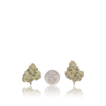 Exotic Flower