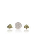 Premium Smalls