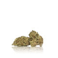 Bulk Budget