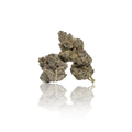 Exotic Flower
