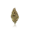 Budget Flower