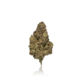 Premium Flower