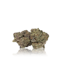 Exotic Flower