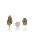 Budget Flower