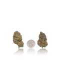Bulk Value
