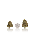 Bulk Budget