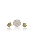Bulk Exotic Smalls