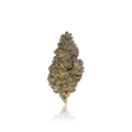 Budget Flower