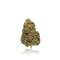 Bulk Budget