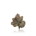 Exotic Flower