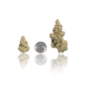 Premium Flower