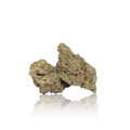 Exotic Flower