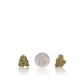 Exotic Smalls