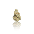 Premium Flower