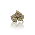 Exotic Flower