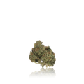 Exotic Flower