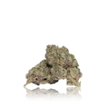 Exotic Flower