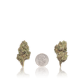 Premium Flower