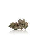 Exotic Flower