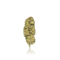 Budget Flower