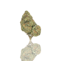 Budget Flower