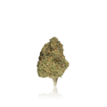 Bulk Budget