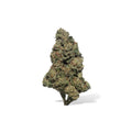 Premium Flower