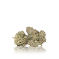 Exotic Flower