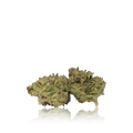 Budget Flower