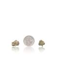 Premium Smalls