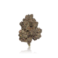 Premium Flower