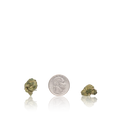 Bulk Exotic Smalls