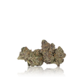 Premium Flower