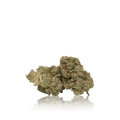Exotic Flower