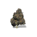 Exotic Flower