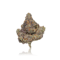 Exotic Flower