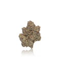Exotic Flower