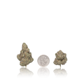 Premium Flower