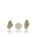 Premium Flower