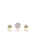 Budget Smalls