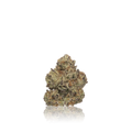 Exotic Flower
