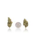 Bulk Budget