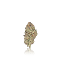 Premium Flower