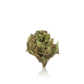 Bulk Budget