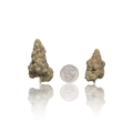Premium Flower