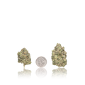 Premium Flower