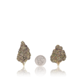 Premium Flower
