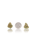 Exotic Smalls