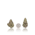 Premium Flower