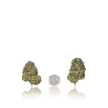 Bulk Budget